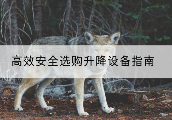 桐梓升降货梯厂家推荐-*安全选购升降设备指南