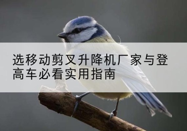 桐梓电动升降机厂家-选移动剪叉升降机厂家与登高车必看实用指南