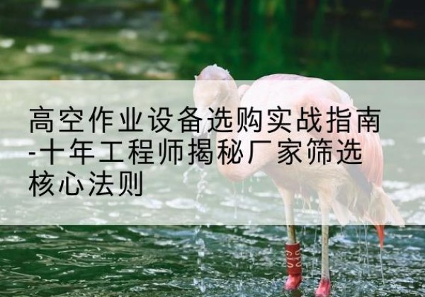 桐梓剪叉式升降机厂家-高空作业设备选购实战指南-十年工程师揭秘厂家筛选核心法则